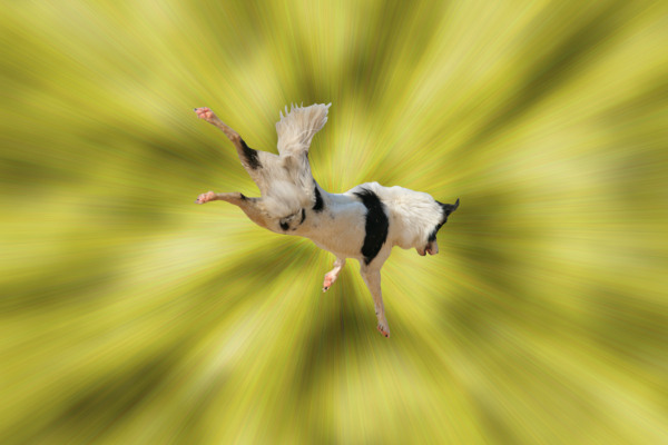 rendunuage
