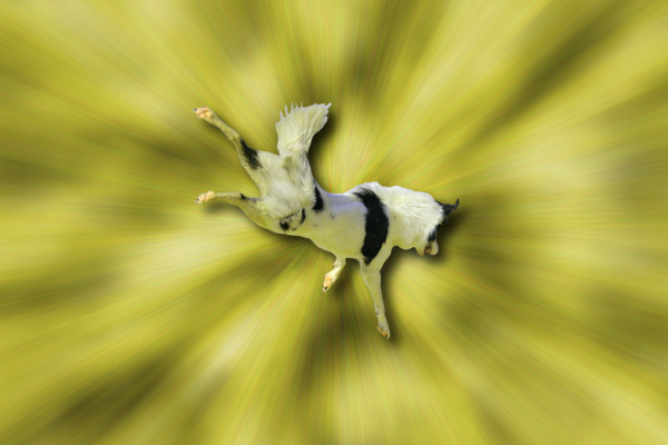 rendunuage
