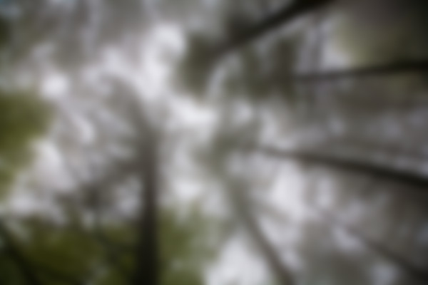 deformation