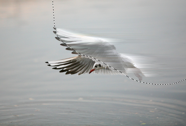 deformation