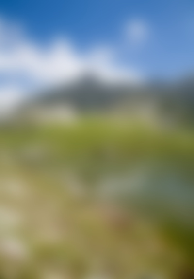 blurcontrole