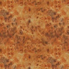 motif