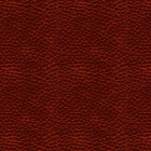 motif